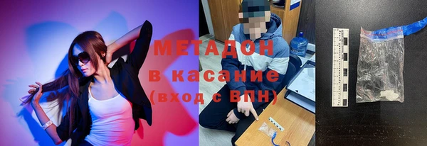 прущие грибы Абинск