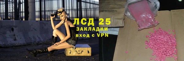 прущие грибы Абинск