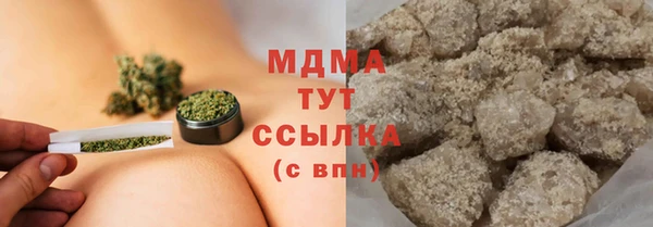прущие грибы Абинск