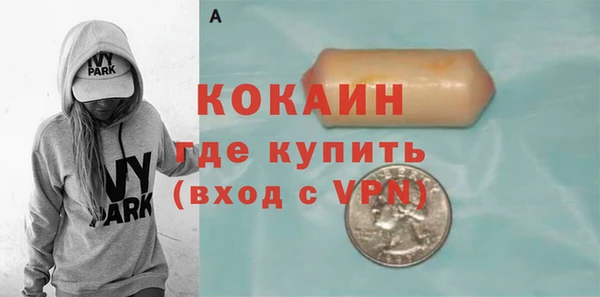 твердый Абаза
