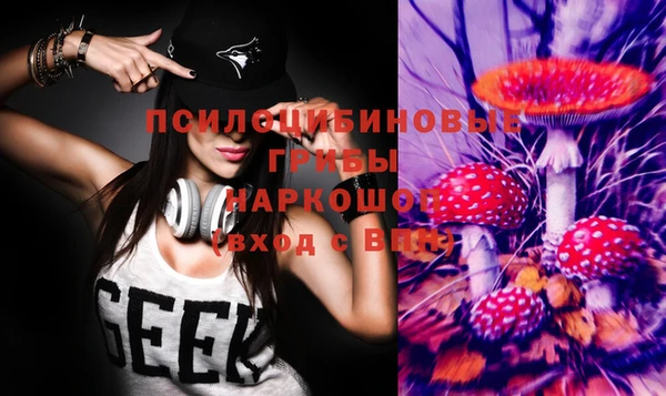 прущие грибы Абинск