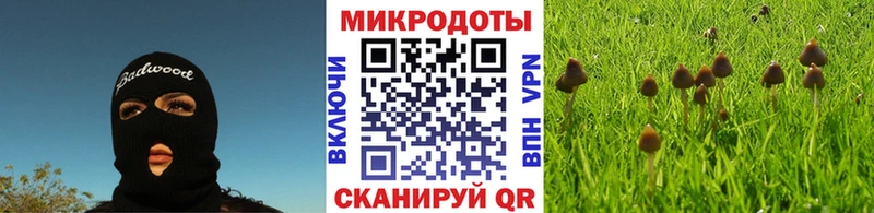 Псилоцибиновые грибы GOLDEN TEACHER Иноземцево